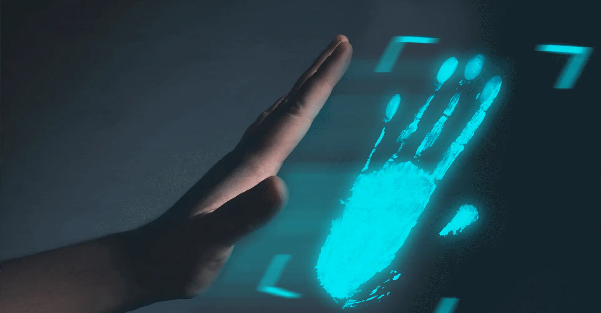 Reconnaissance de Paume 3-en-1